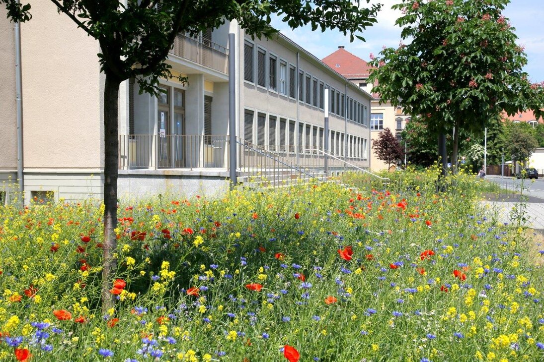 Hochschule Zittau/Görlitz, Standort Zittau