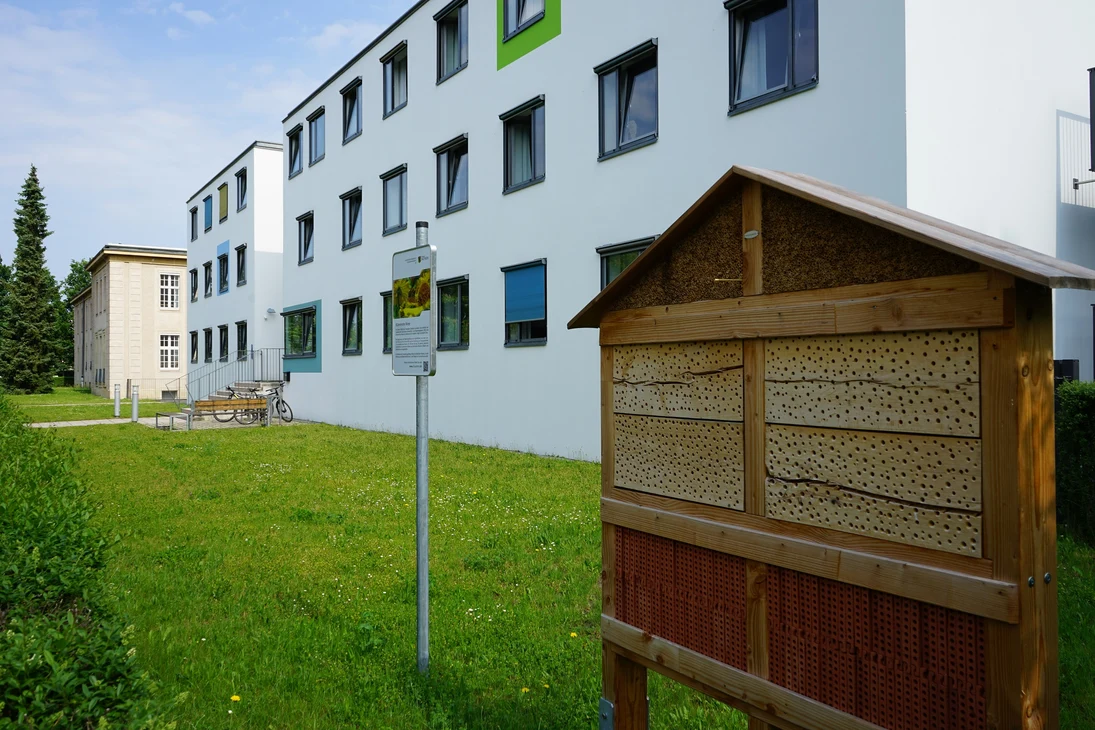 Palucca Hochschule Dresden