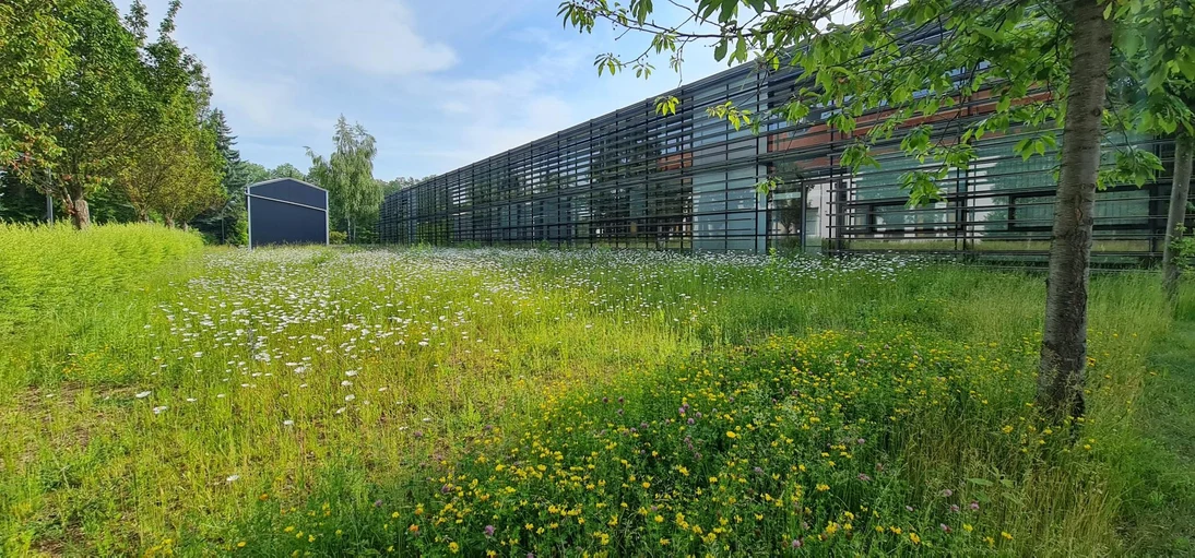Wests&auml;chsische Hochschule Zwickau