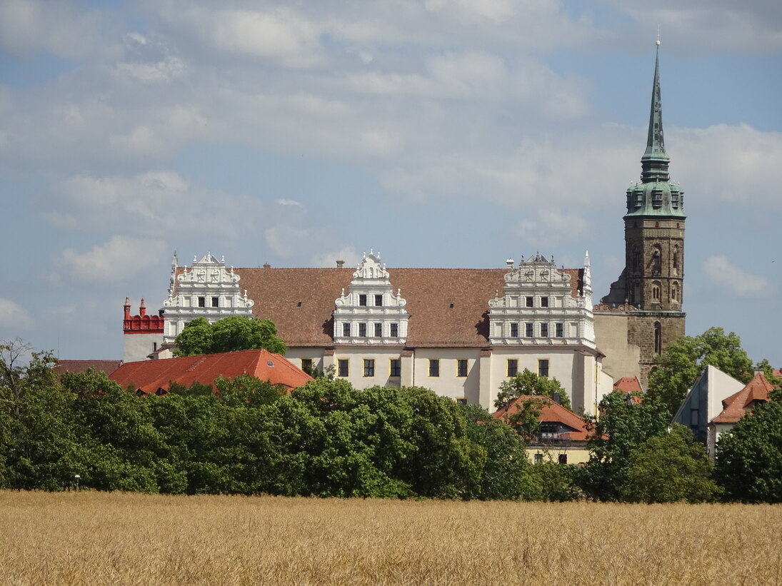 Ansicht der Ortenburg Bautzen vom Protschenberg aus, erhebt sie sich über ein Getreidefeld.