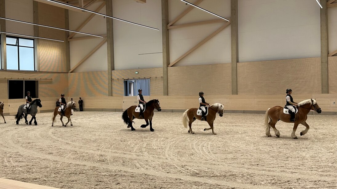 Auszubildende des Gestüts reiten auf ausgewählten, jungen Pferden durch die weite und helle Halle.