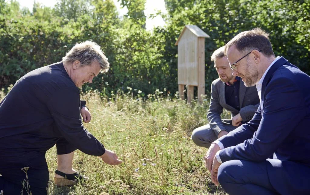 Begutachtung der neu angelegten Bl&uuml;hwiese an der HTWK Leipzig